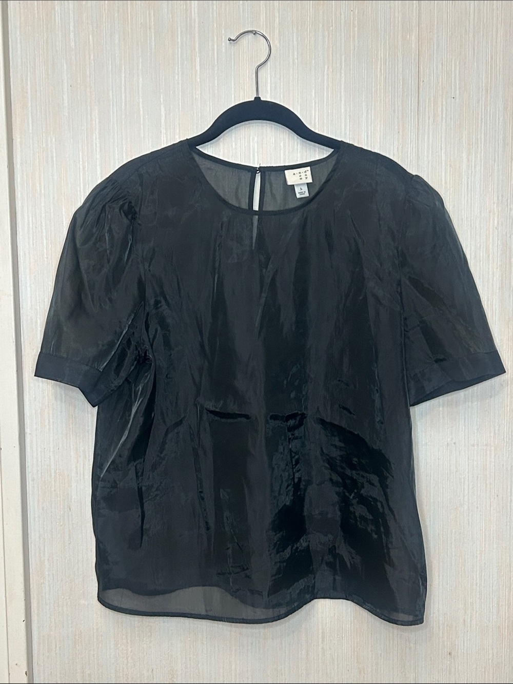 Black Semi-Sheer Puff Sleeve Large Blouse Target’s a new day See Through Top